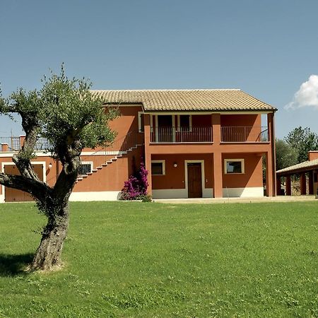 Contado San Lorenzo B&B And Wine Castilenti Eksteriør billede