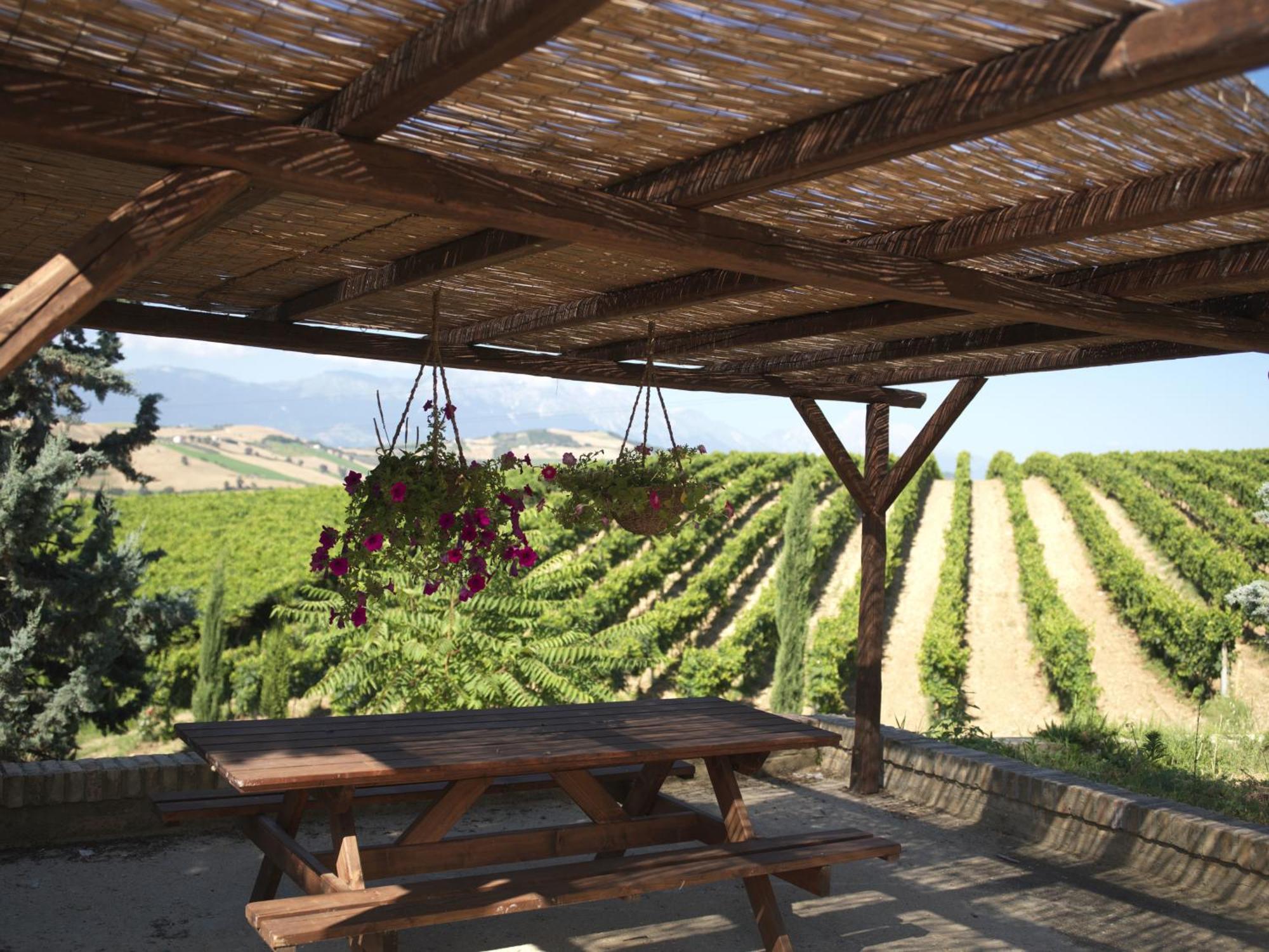 Contado San Lorenzo B&B And Wine Castilenti Eksteriør billede