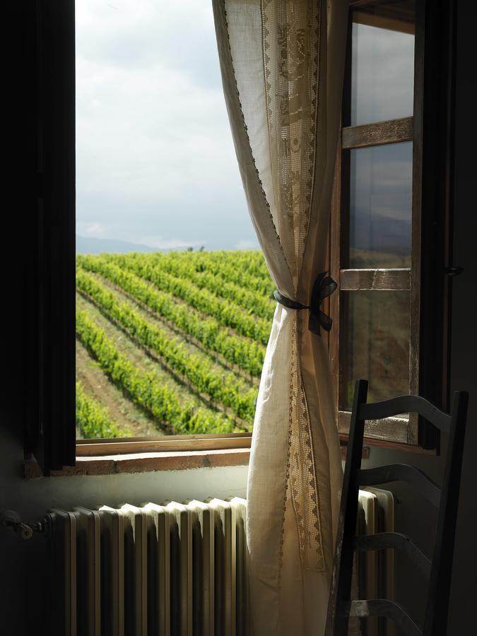 Contado San Lorenzo B&B And Wine Castilenti Eksteriør billede